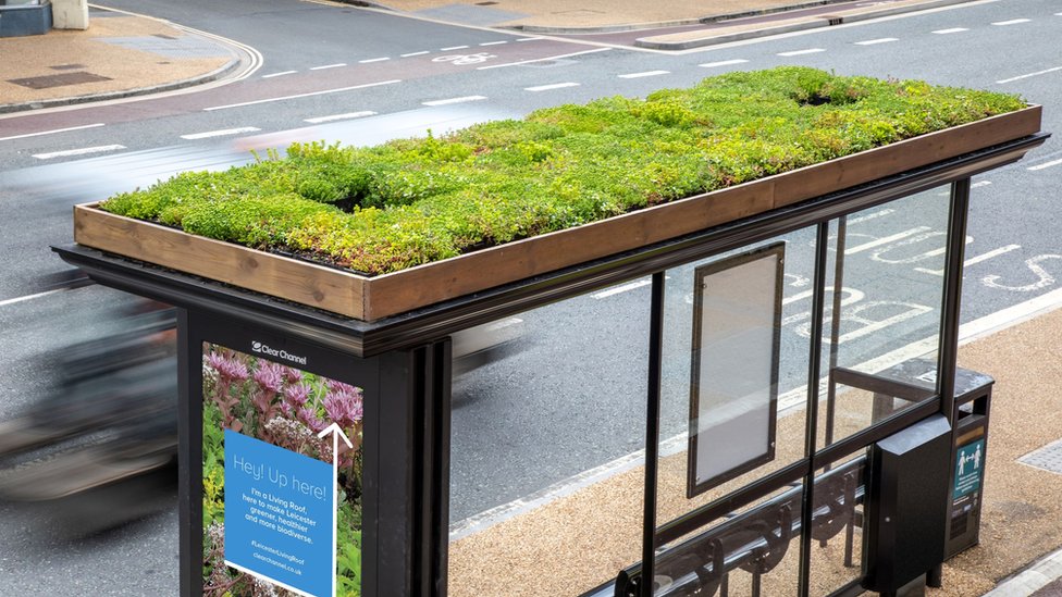 Bee Bus Stops: Transforming Bus Shelter Roofs into Havens for Bees and Butterflies