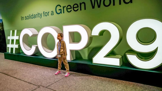 COP29 Climate Talks Conclude with $300 Billion Pledge: A Step Forward, But Not Far Enough According to Critics