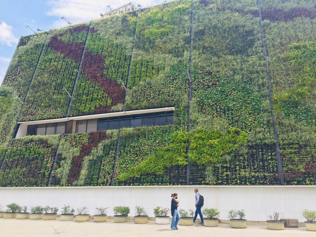 Medellín’s Green Corridors: A Path to a Cooler, Cleaner Future